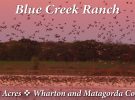 Blue Creek Ranch